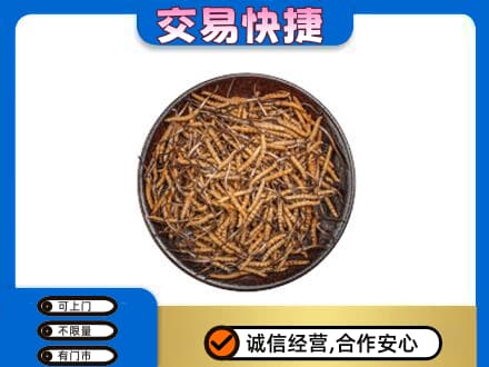 日照五莲县高价回收散虫草